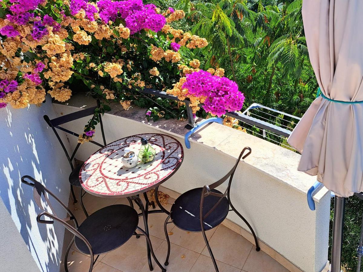 Apartment Oaza Mira ตรีบูนย์ ภายนอก รูปภาพ